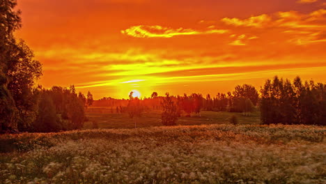 Bright-red-sunrise-timelapse-over-flowered-meadow