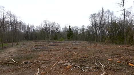 Aerial---Remains-of-cutting-and-logging-waste-in-forest