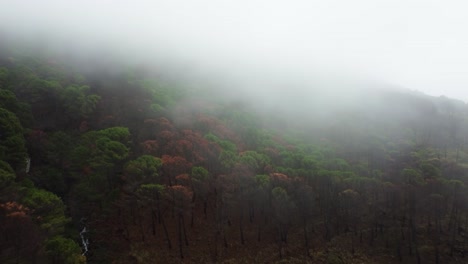 Fog-flow-over-tree-tops-in-mountain-area-of-Estopana,-Spain,-aerial-view