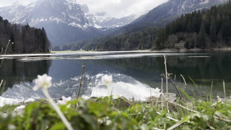 Tranquilo-Lago-Obersee-Que-Refleja-Vistas-A-Los-Majestuosos-Alpes-Suizos,-Vista-A-La-Costa