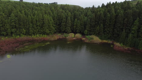 The-beautiful-contrast-of-the-forest-and-lake-of-Lagoa-do-Canario-from-above-on-Sao-Miguel-Island,-Azores