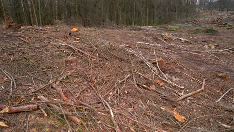 Slow-aerial-pullback-over-tract-of-land-littered-with-logs-and-branches,-logging