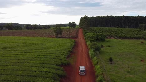 A-close-up-view-of-a-vehicle-moving-through-the-agricultural-fields,-forest-and-red-soil,-Salto-Chavez-Oberá,-Misiones,-Argentina