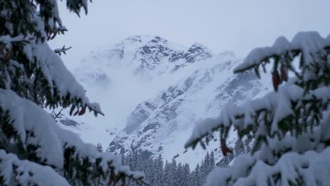 Atemberaubende-Aussicht-Auf-Den-Gipfel-Des-Pietrosul-Rodnei-Durch-Schneebedeckte-Kiefernzweige