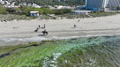 A-cinematic-aerial-view-of-a-Horse-at-Son-Bou-Beach-with-buildings-in-the-background-in-Menorca,-Spain
