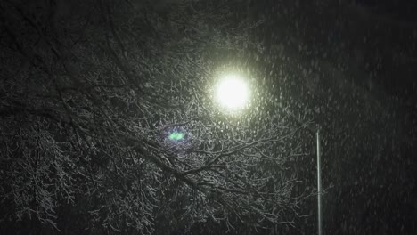 Dark-night-snow-falls-past-street-light-and-winter-tree,-monochrome