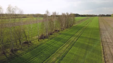Drone-above-plowed-land-agricultural-flat-area-in-farming-environment