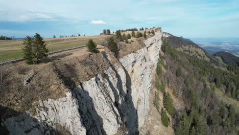 Aerial-flying-oward-rock-cliff-edge-with-trees,-Wandfluh-Solothurn,-Switzerland