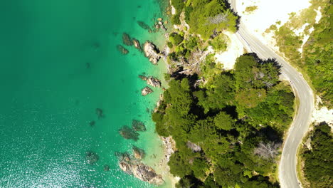 Scenic-road-on-cliff-over-turquoise-water-of-Wainui-Bay,-New-Zealand-aerial-top-down