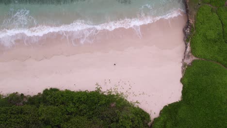 Man-standing-on-paradise-white-beach-Mbawana-Beach-at-Sumba-island,-top-down-aerial