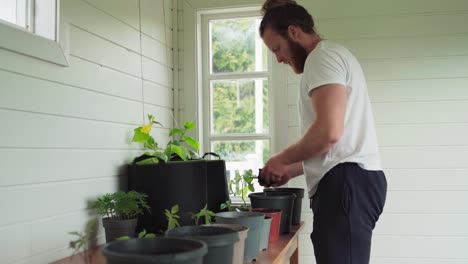 European-Man-Transplanting-Seedlings-Into-Larger-Pots-In-The-House