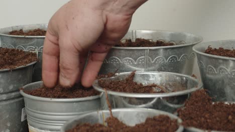 Soil-is-being-sprinkled-across-the-pots,-evenly-dispersed-as-it-is-scattered-over-each-one