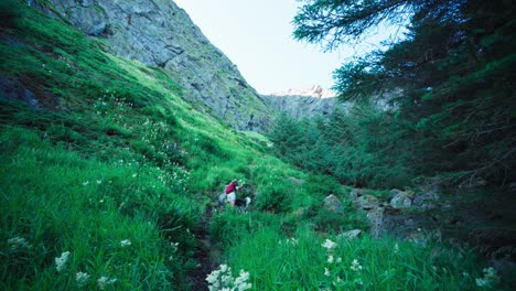 Vista-Lejana-De-Una-Mujer-Con-Perro-Escalando-Montañas-Con-Vegetación