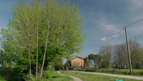 Birch-Trees-And-Rural-House-With-Empty-Pathways-On-Sunny-Day