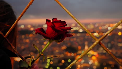 Mujer-Romántica-Sosteniendo-Una-Rosa-En-El-Piso-De-La-Cumbre-De-La-Torre-Eiffel-En-La-Noche