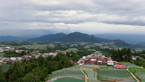 Indonesian-plantation-and-small-town-with-mountains-in-horizon,-aerial-view