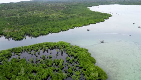 Sprawling-mangrove-forest-around-open-channel-of-ocean-water,-retains-mud,-aerial