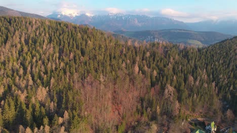 Austria-mountain-wild-landscape,-forest-tree-covering-mountain,-golden-hour,-aerial