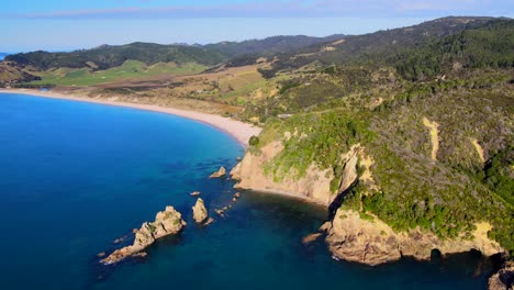 Aerial-overview-of-stunning-tropical-coastal-on-Coromandel-Peninsula,-New-Zealand