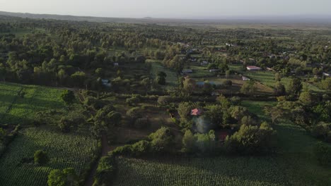 Houses-amid-lush-green-plantations-in-Loitokok-village,-Kenya,-aerial-view