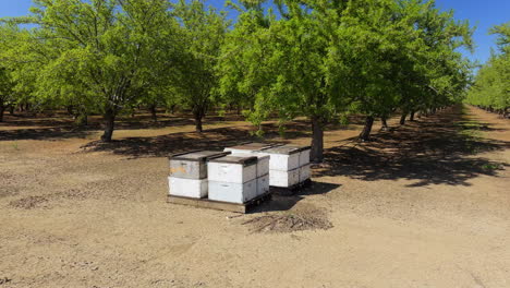 Bienenhaus,-Damit-Bienen-Obstgärten-Und-Feldfrüchte-Im-Zentralen-Tal-Kaliforniens-Bestäuben-Können
