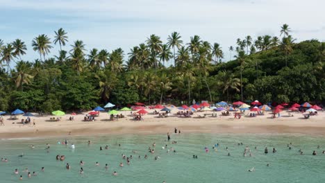 Dolly-in-aerial-drone-shot-of-the-popular-tropical-Coquerinhos-beach-surrounded-by-palm-trees,-covered-in-umbrellas-with-tourists-swimming-in-a-natural-pool-in-Conde,-Paraiba,-Brazil-in-summer-day