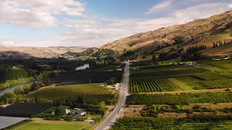 Green-fruit-orchards-alongside-Roxburgh-road-aerial-reveal-of-valley-fly-backward-shot-on-sunny-day,-Central-Otago,-New-Zealand