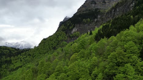Mesmerizing-green-foliage-of-Alpine-trees-in-Switzerland,-aerial-view