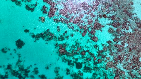 Faszinierende-Korallenriffe-Unter-Kristallklarem-Wasser-Auf-Den-Philippinen-Von-Oben