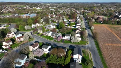 Neighborhood-in-rural-USA-during-spring