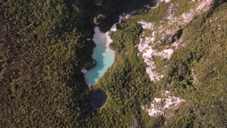 Agua-Azul-Esmeralda-Del-Lago-Del-Cráter-En-La-Reserva-Escénica-De-La-Montaña-Del-Arco-Iris-En-Waiotapu,-Nueva-Zelanda