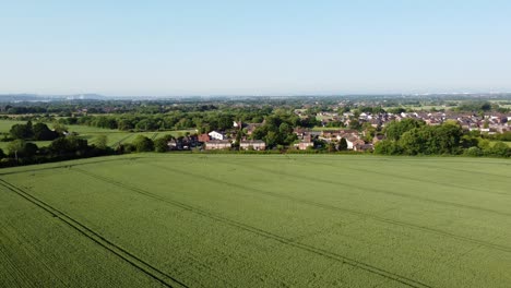 Aerial-view-English-village-on-the-edge-of-green-organic-wheat-crops-growing-on-farmland-during-early-morning-sunrise