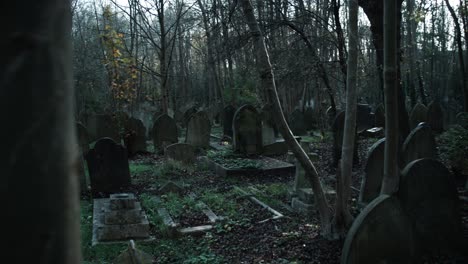Endless-graves-in-an-English-forest-graveyard