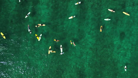 Many-surfers-in-clear-water-from-above,-exotic-place