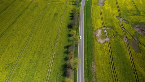 Aerial-backwards-view-of-a-car-passing-through-a-green-field