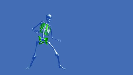Skelett-Thriller-Tanz-–-Momente