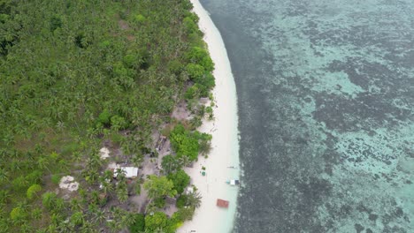 Aerial-rising-of-balabac-shoreline-with-palm-trees-and-sandy-shoreline