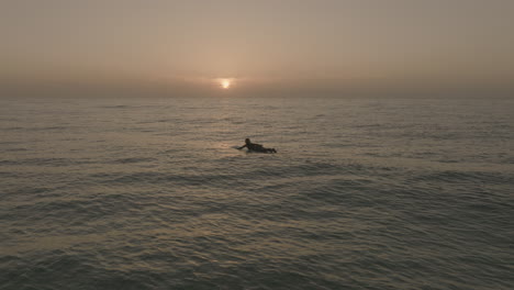 apple-prores-422-surfer-girl-paddling-into-sunrise-on-fuerteventura-Canary-Islands