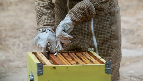 Bienenstock-Imkerarbeiter-Extrahiert-Rahmen-Mit-Herumfliegenden-Bienen,-Nahaufnahme