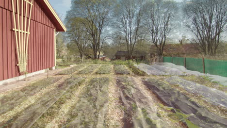 Garden-vegetable-patch-long-duration-timelapse-from-winter-to-summer,-zoom-in