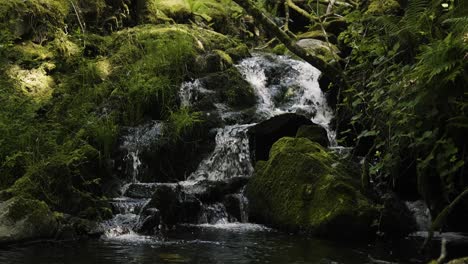 Kleiner-Gebirgsfluss-Mit-Kristallklarem-Wasser-Im-Walisischen-Wald