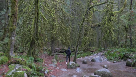 Unrecognizable-Person-Walking-in-Green,-Lush-Wet-Forest,-Slow-Motion