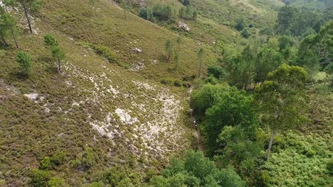 Tourists-on-Horseback-riding-in-Mountain-Forest-Aerial-View