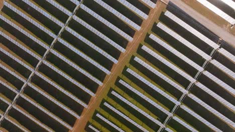 Top-down-aerial-of-large-scale-solar-plant,-sun-reflects-on-panels