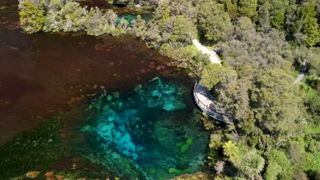 Aerial-reveal-of-amazing-deep-water-spring-at-Te-Waikoropupu-Springs,-New-Zealand