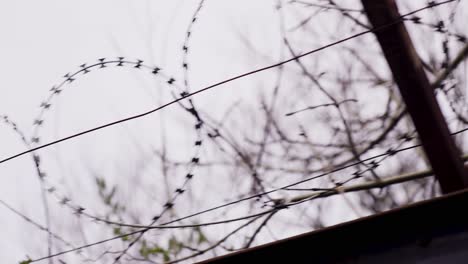 Low-angle-dolly-shot-of-razor-barbed-wire-running-along-the-top-of-a-fence