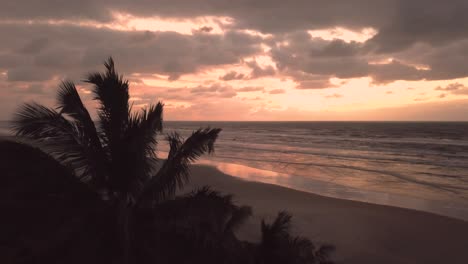Beautiful-establishing-shot-of-palm-trees-in-beach,-sunrise-Atlantic-ocean-Brazil