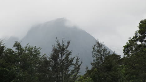 árboles-En-Primer-Plano-Con-Niebla-Y-El-Pico-Del-Acantilado-De-Milford-Sound-En-El-Fondo,-Nueva-Zelanda