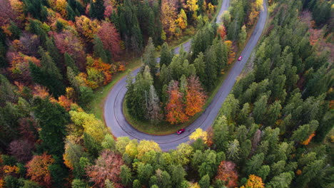 Flight-over-the-forest-in-autumn,-beautiful-colors-andwith-cars-passing-on-the-road