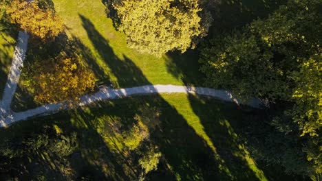 Aerial-4K-drone-footage-of-a-couple-walking-in-the-park-during-the-golden-hour